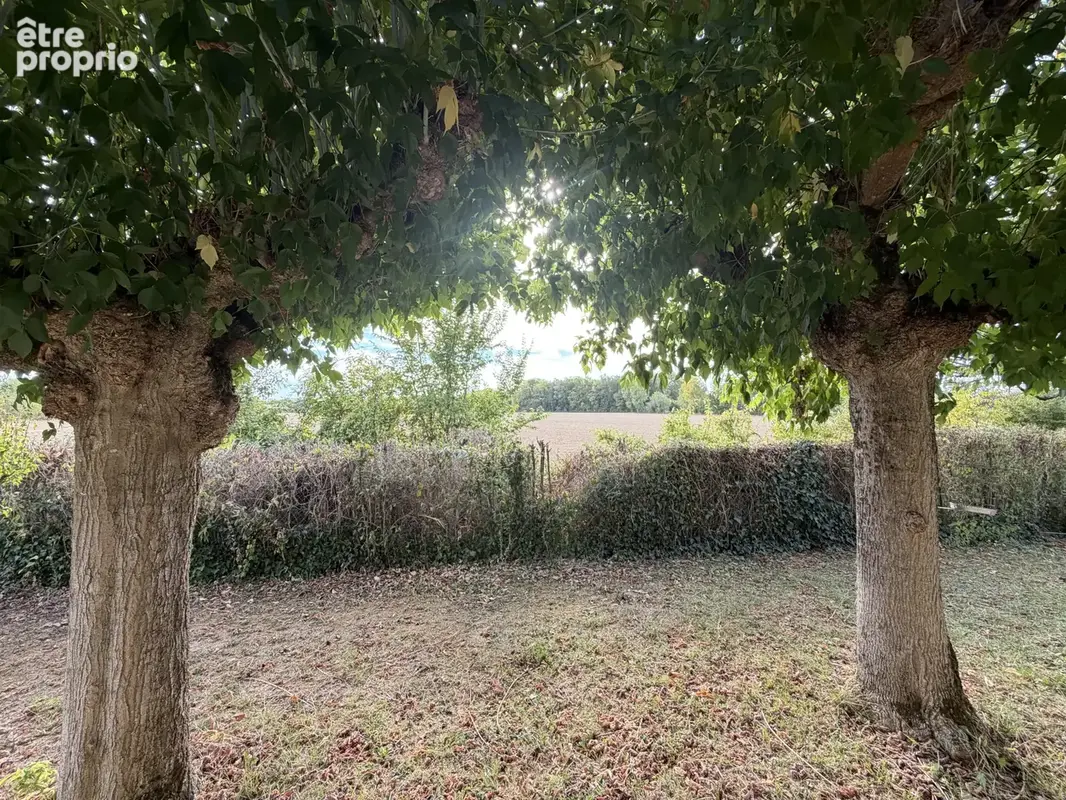 Villemur-sur-tarn   1 700 m2 de terrain, vue dégagée et maison de plain-pied : un beau potentiel - photo 12