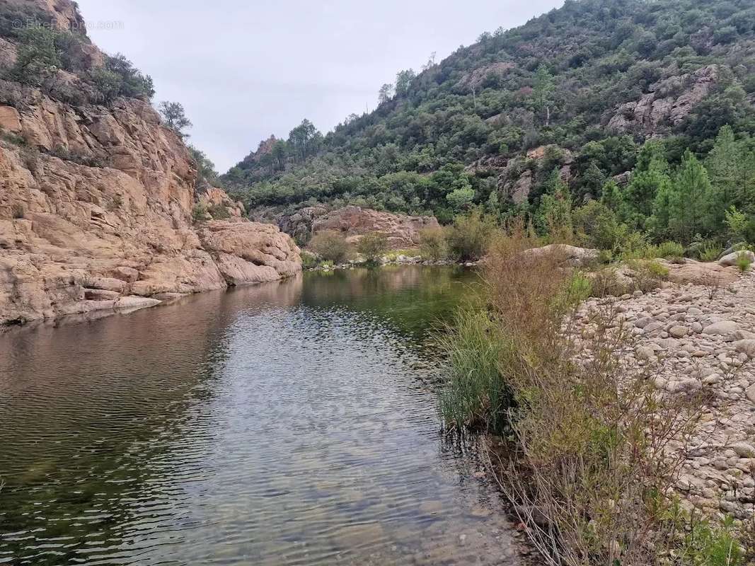 Maison à SARI-SOLENZARA