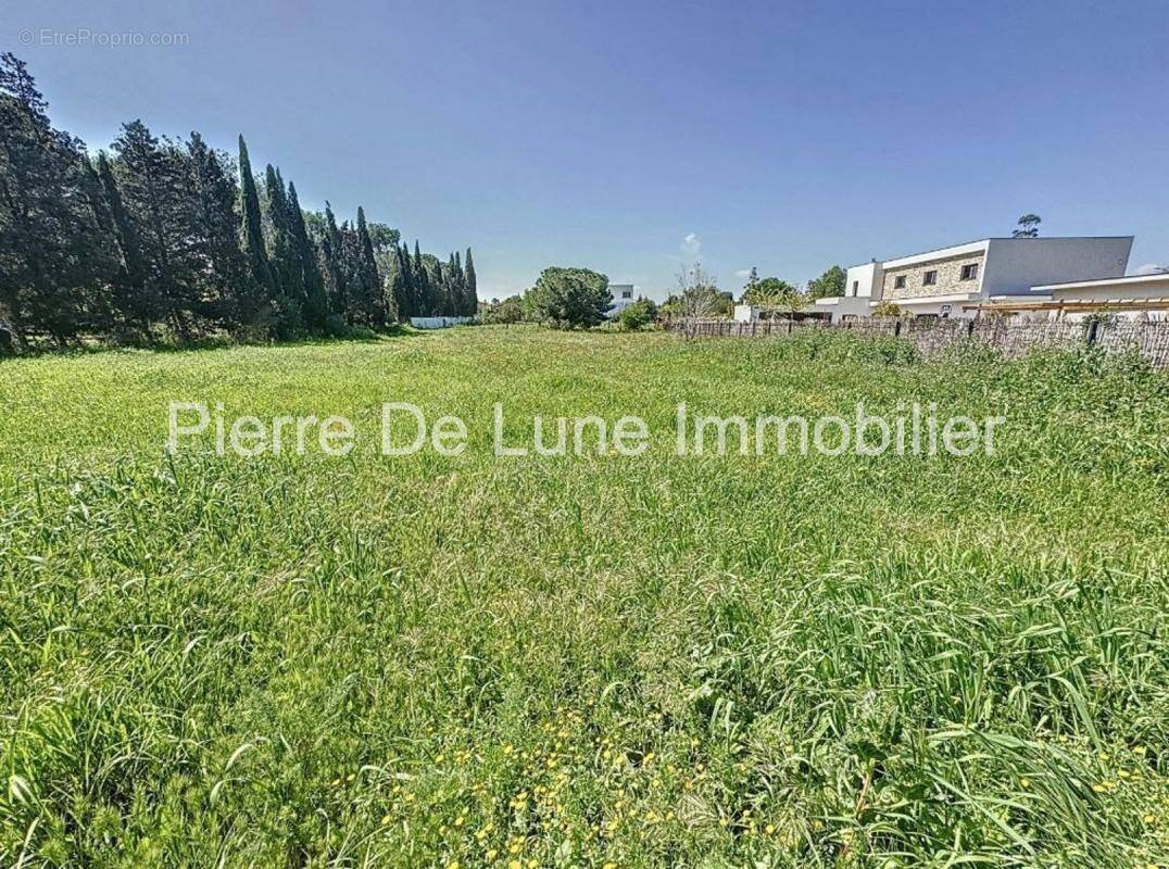 Mas Llaro, beau terrain plat 2000 m², viabilisé, clos, au calme - photo 6