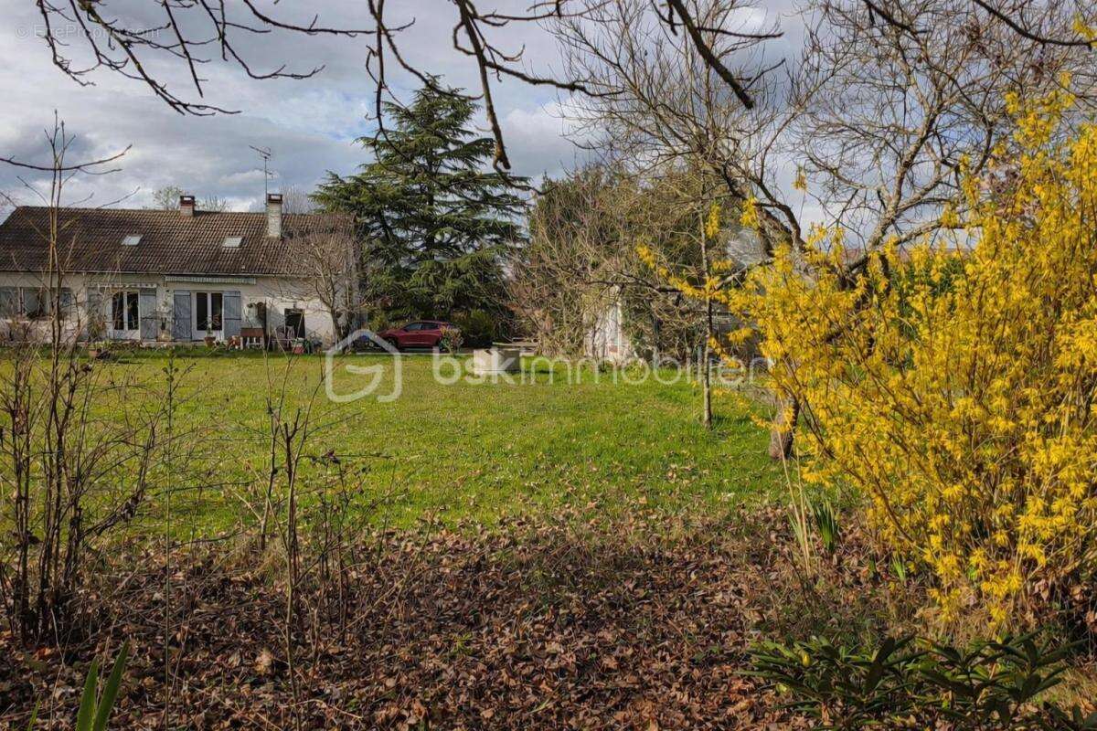Propriété - photo 4