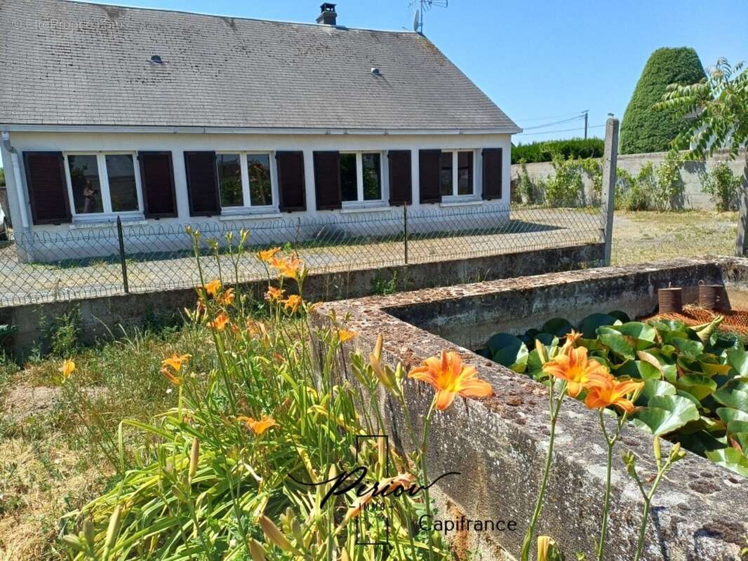 Pavillon plain pied, 3 chambres, 1230 m² de terrain clos de murs - photo 3