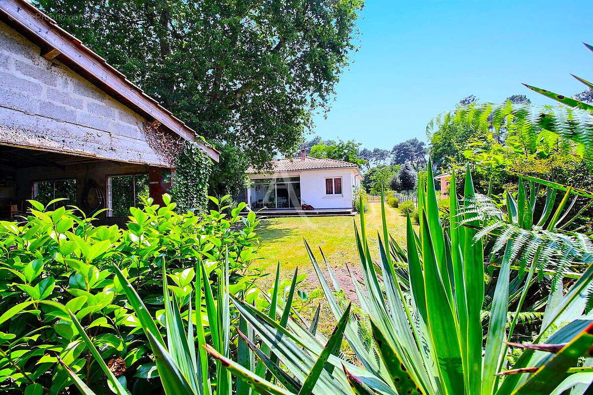 Maison à VILLENAVE-D'ORNON