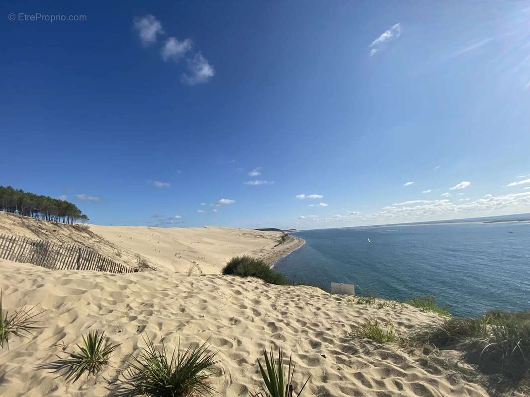 Maison avec piscine et 4 chambres proche de la plage au pyla - photo 10