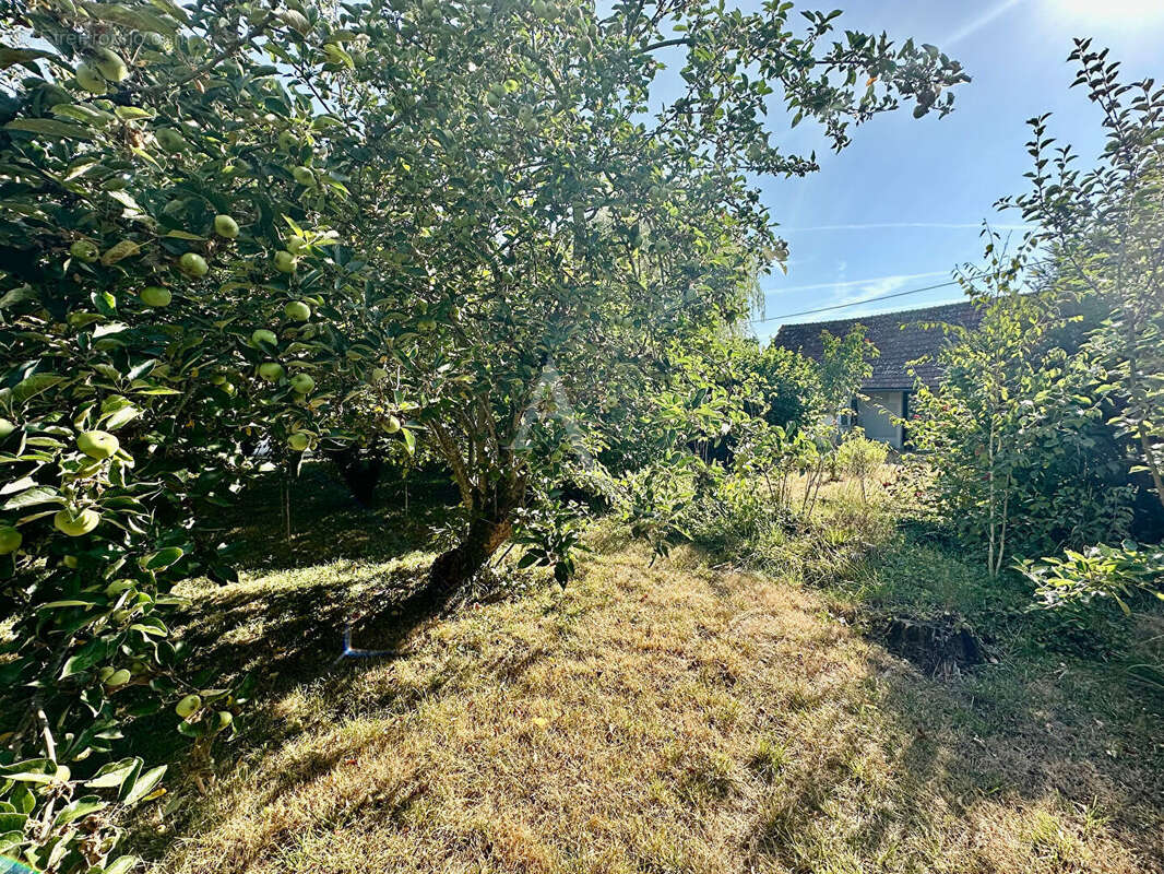 Maison de charme à vendre à Sandillon (45640) - photo 15