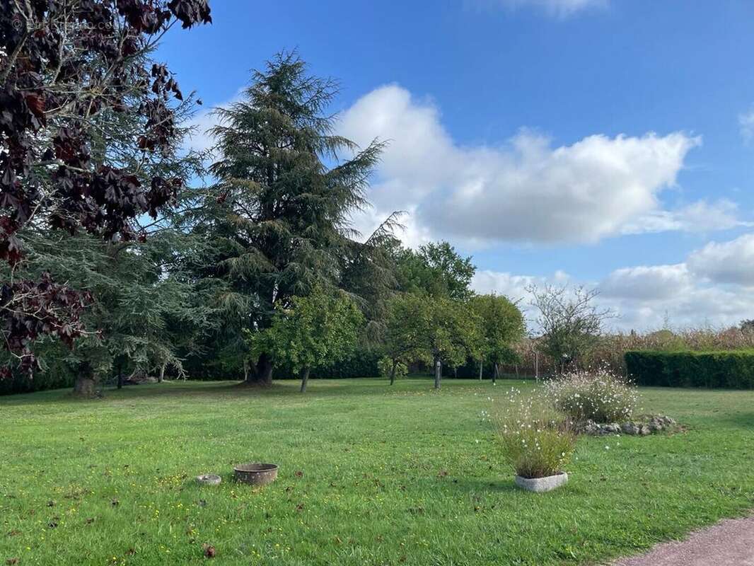 PHOTO20240110172528 7 - Maison à RIBERAC