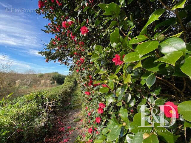 Maison à SALIES-DE-BEARN