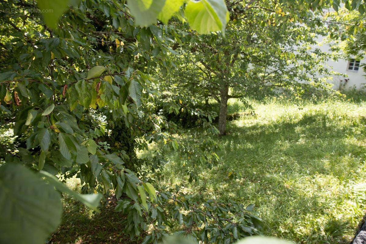 Terrain à MOUTHIER-HAUTE-PIERRE