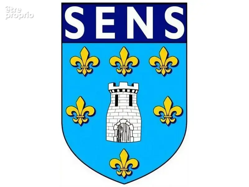 Commerce à SENS