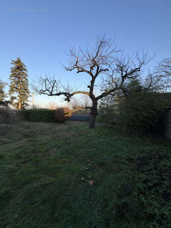 Terrain à MESSIMY