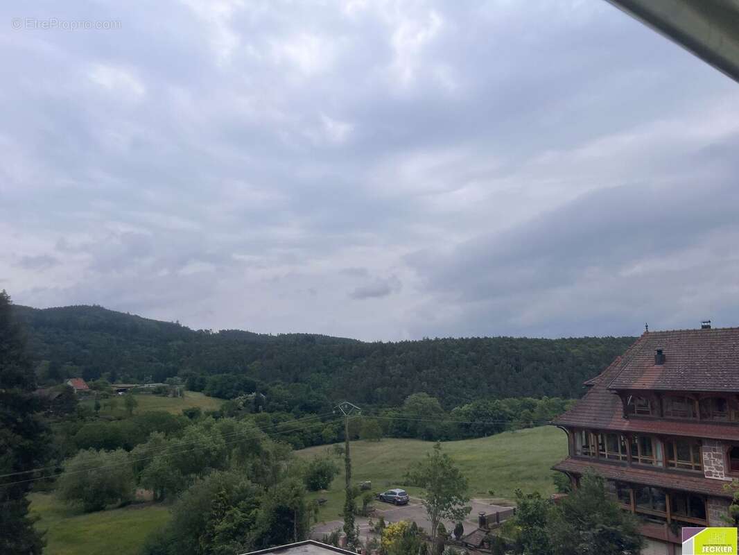 Appartement à THANNENKIRCH