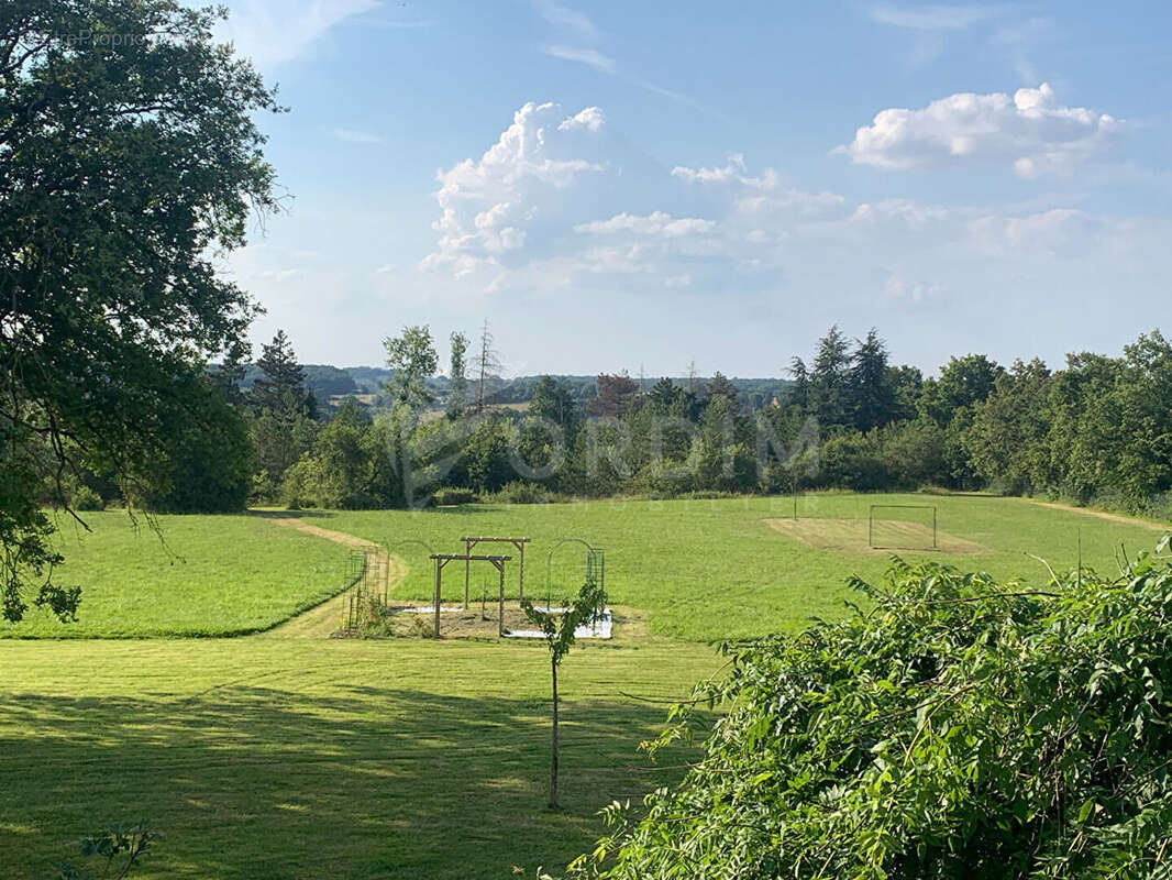 Demeure Cernoy En Berry 16 pièce(s) 575 m² sur 17586 m² - photo 4