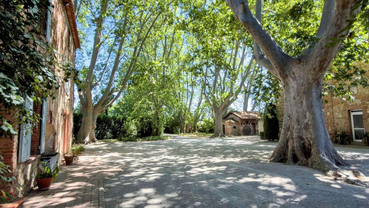 Maison 463 m² à Canohes  - photo 4