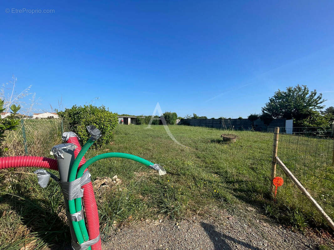 Terrain à SAINT-VINCENT-SUR-JARD