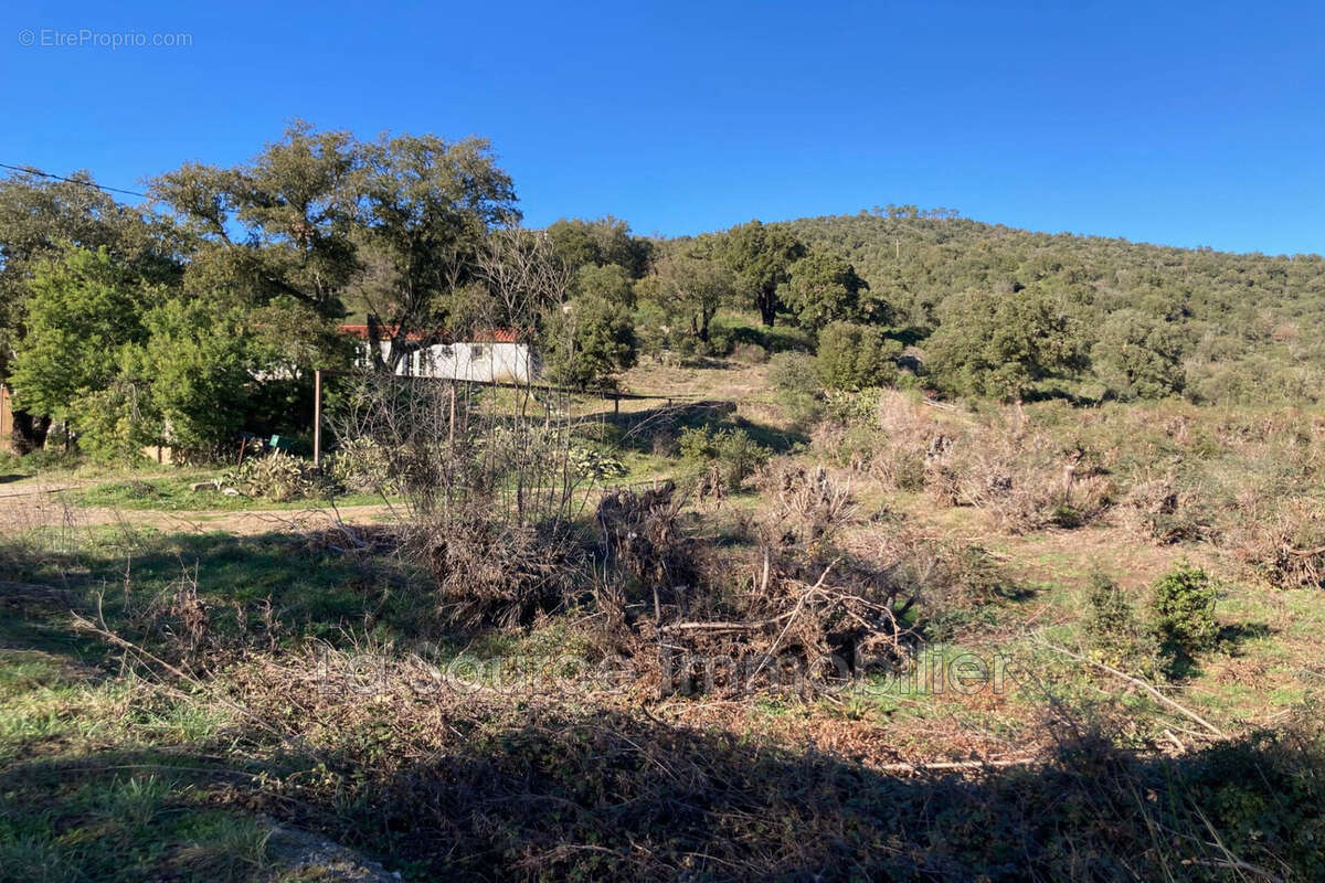 Maison à Vidauban  - photo 5