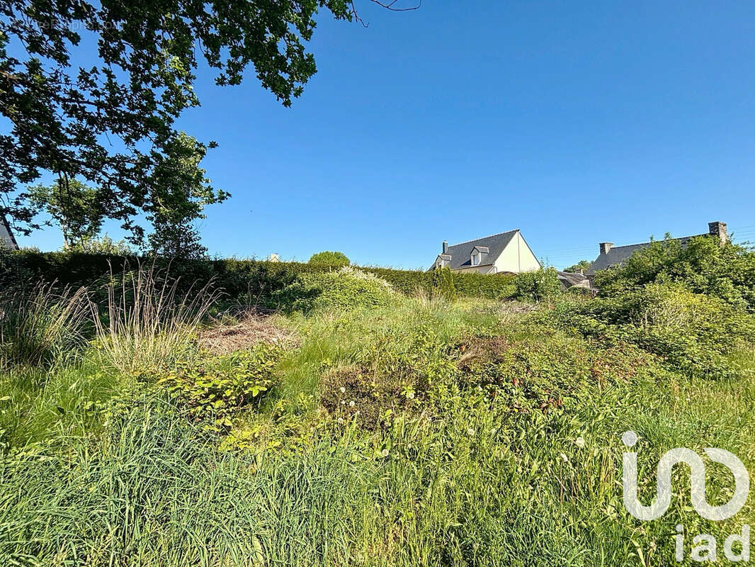 Photo 3 - Terrain à LE TRONCHET