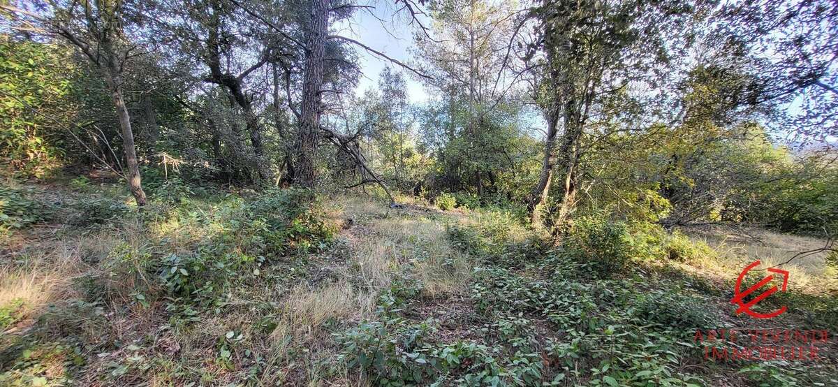 Terrain à CARCASSONNE