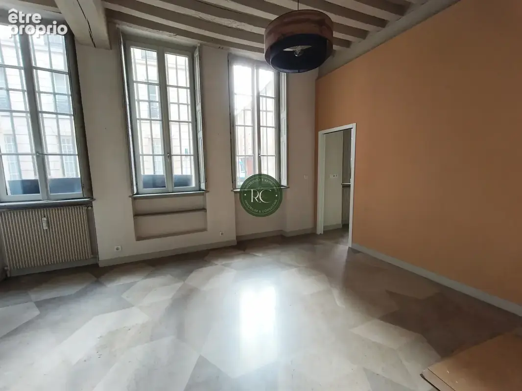 Dijon appartement hotel particulier antiquaires - photo 5