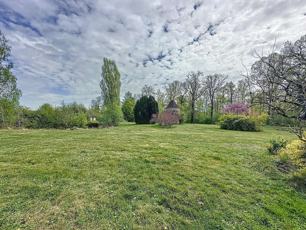 Photo 6 - Maison à VILLENEUVE-SUR-YONNE