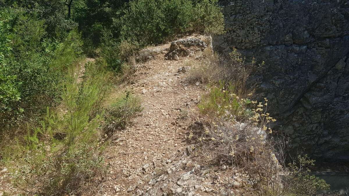 Exclusivite - terrain a vendre - la roque d'antheron - foret - photo 9
