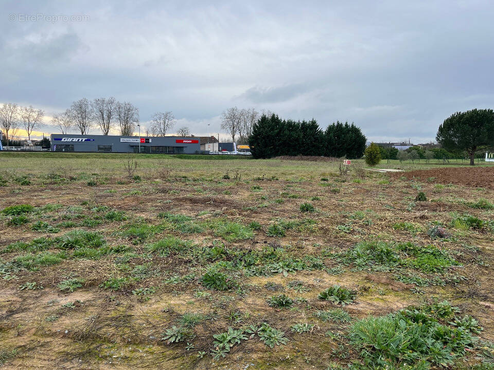 Terrain à LESCURE-D'ALBIGEOIS