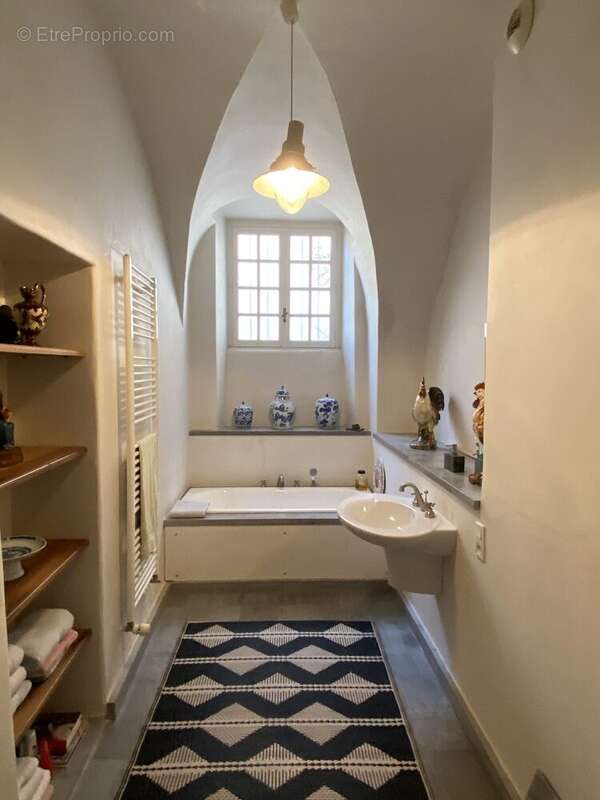 Maison 320 m² à Vogue  - photo 9