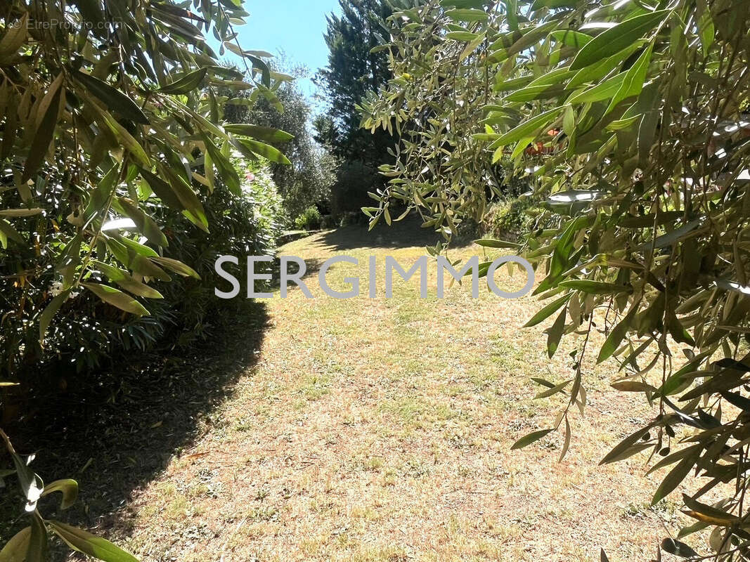 Maison à MONTAUROUX