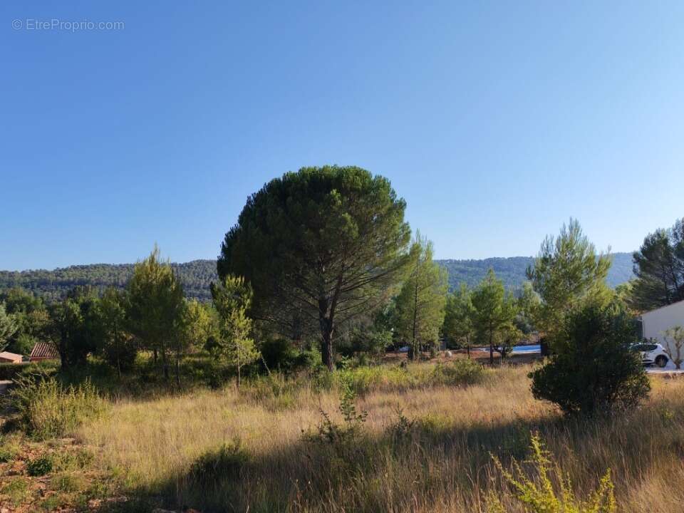 Terrain 900 m² à Camps-La-Source  - photo 2