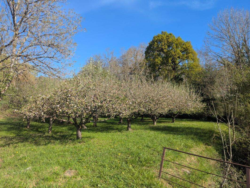 Maison à LE MAS-D'AZIL