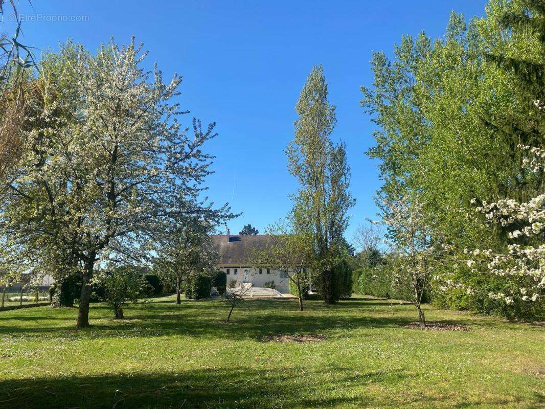 Maison à ROMORANTIN-LANTHENAY
