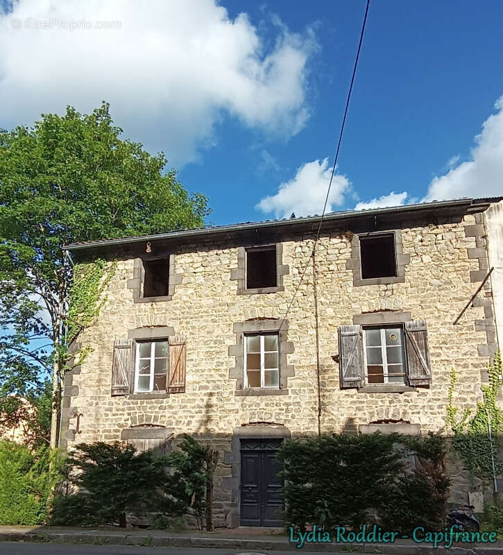 Maison de maître de 10 pièces avec terrain RARE à Thiers (63300) - photo 3
