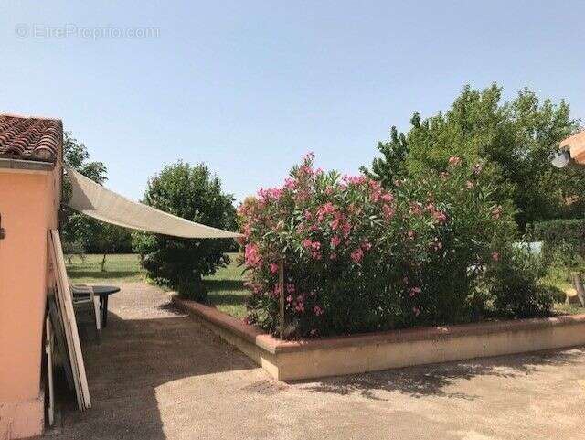 Appartement à AUSSONNE