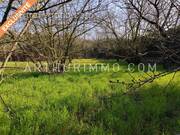 Terrain à SAINT-MAURICE-L&#039;EXIL