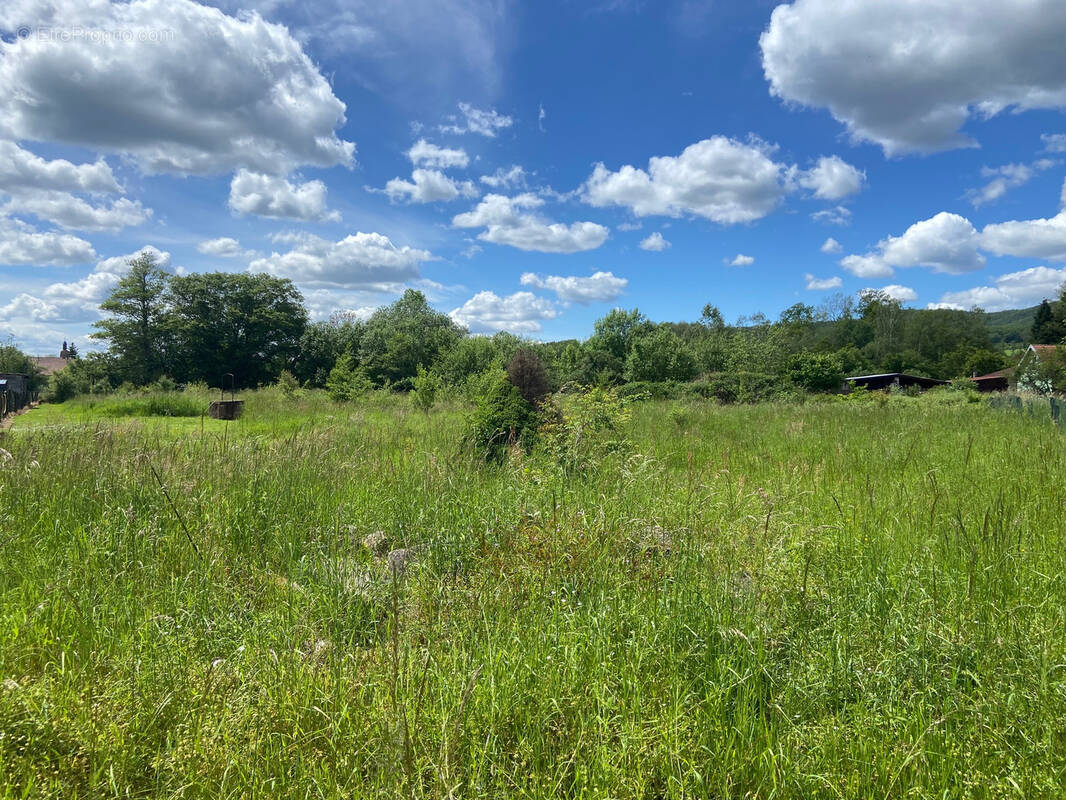 Terrain à CHAMPAGNEY