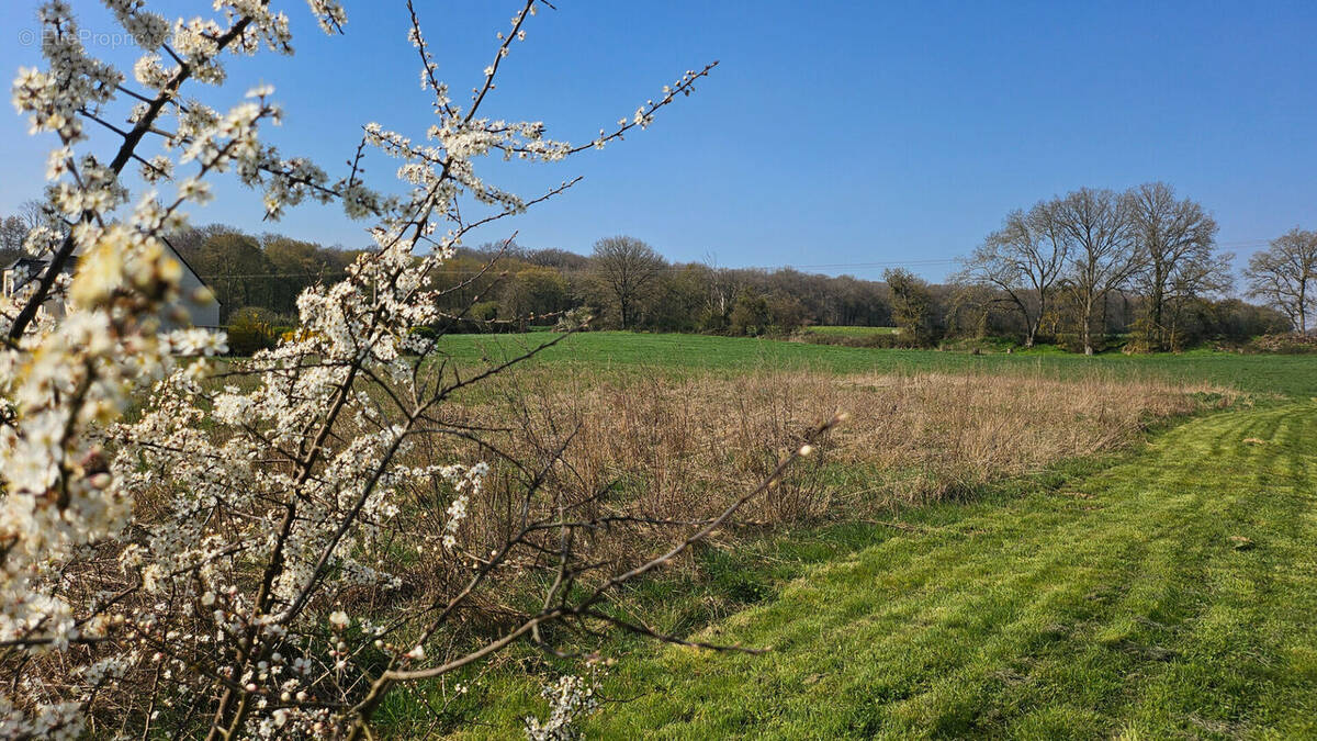 Terrain à GUIGNECOURT