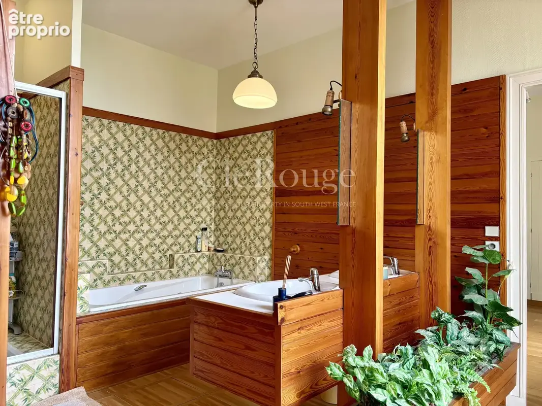 Tonneins - Demeure de caractère avec piscine et jardin arboré, six chambres au cœur de la ville - photo 5