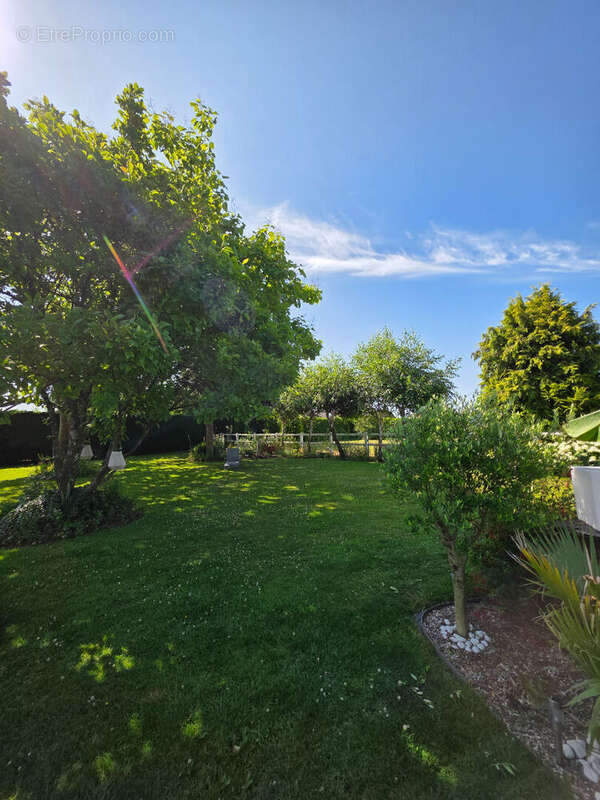 Maison à CREVECOEUR-LE-GRAND