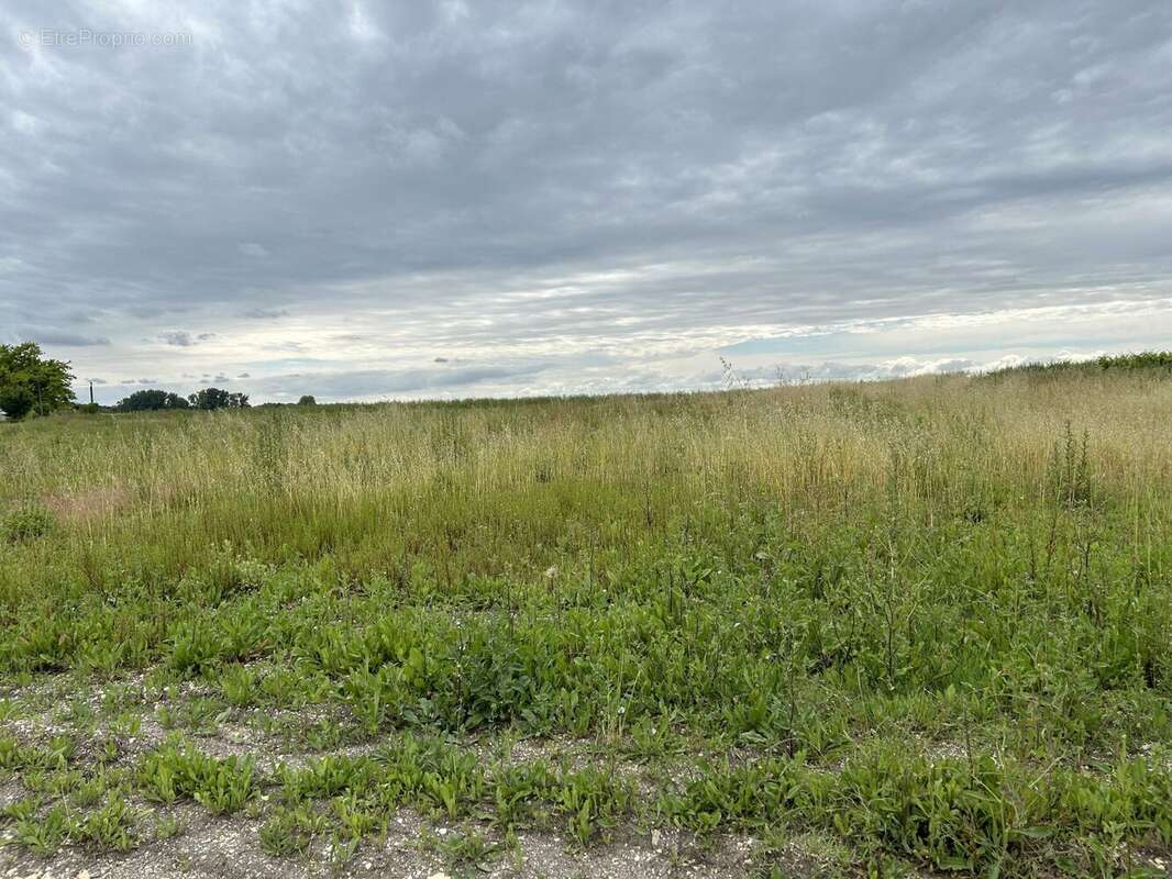 Terrain à bâtir de 2172 m² à SAINTE-LHEURINE (17) - photo 4