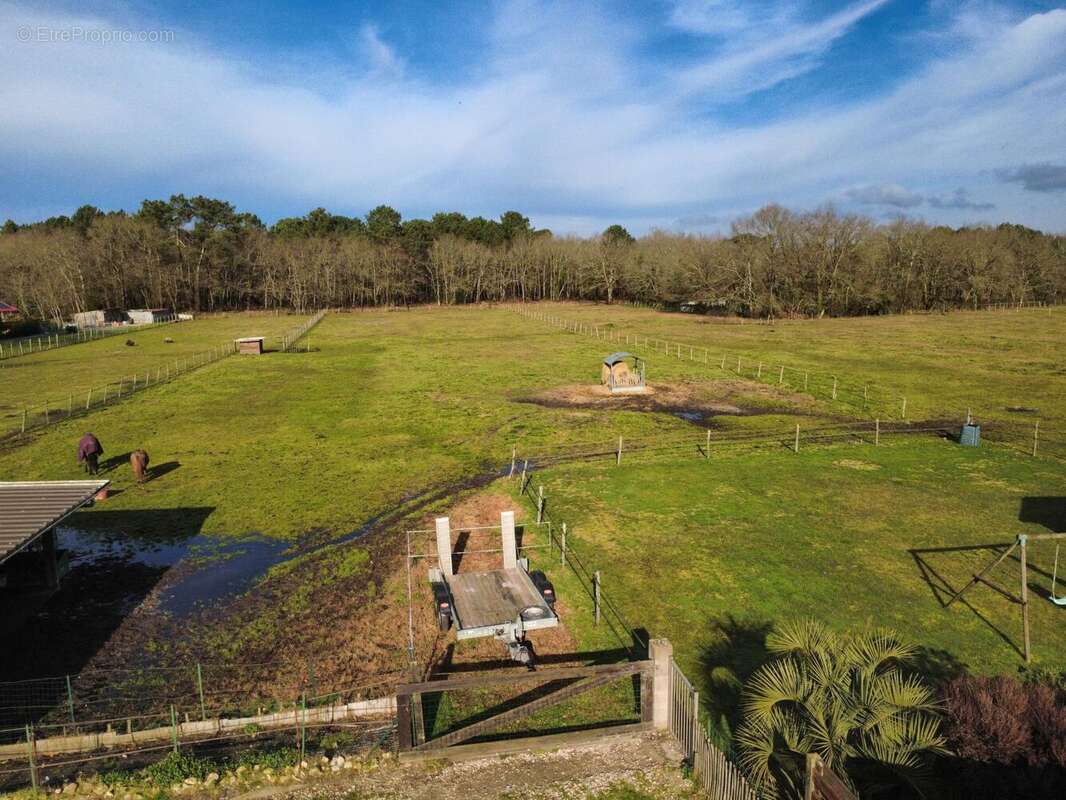 Photo 7 - Maison à LISTRAC-MEDOC