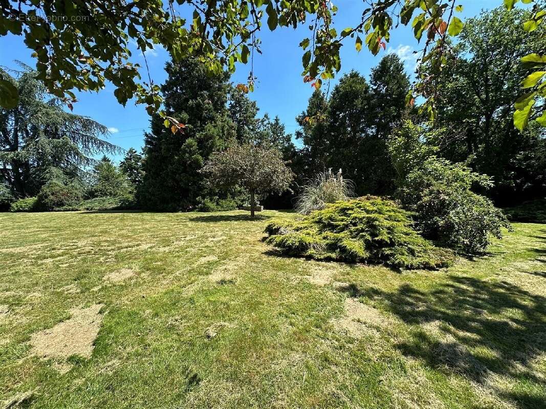 Maison à CHATEAUNEUF-EN-THYMERAIS