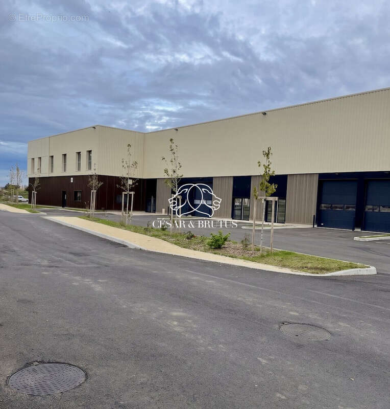 Commerce 399 m² à Rillieux-La-Pape  - photo 4