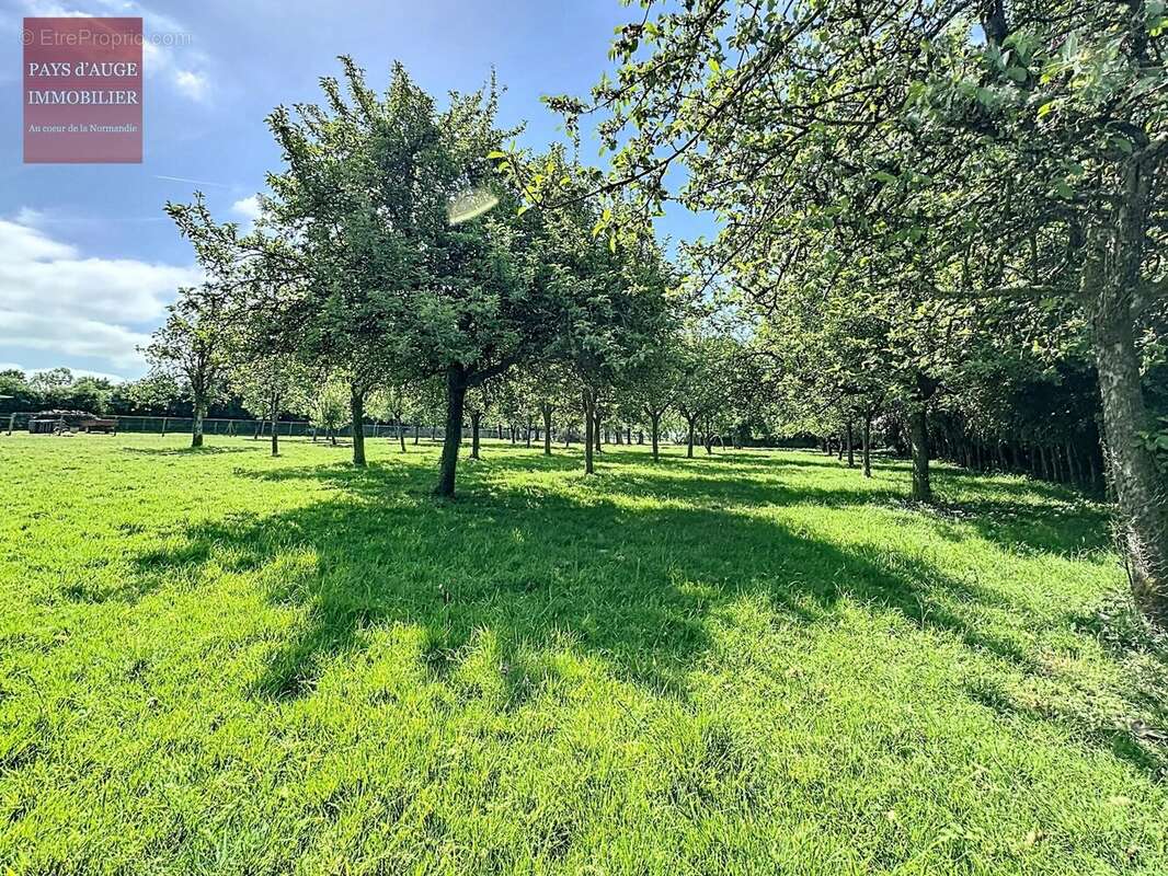 Maison à NEUVILLE-SUR-TOUQUES
