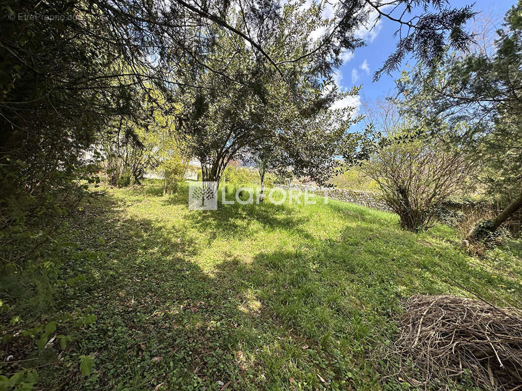 Terrain à LA TRONCHE