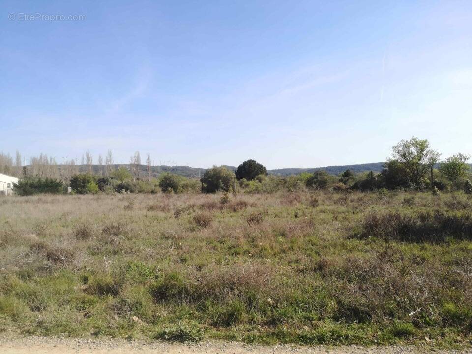 Terrain à VILLEDAIGNE
