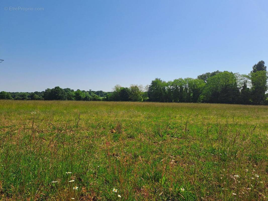 Terrain à SAINT-GERMAIN-DU-SEUDRE
