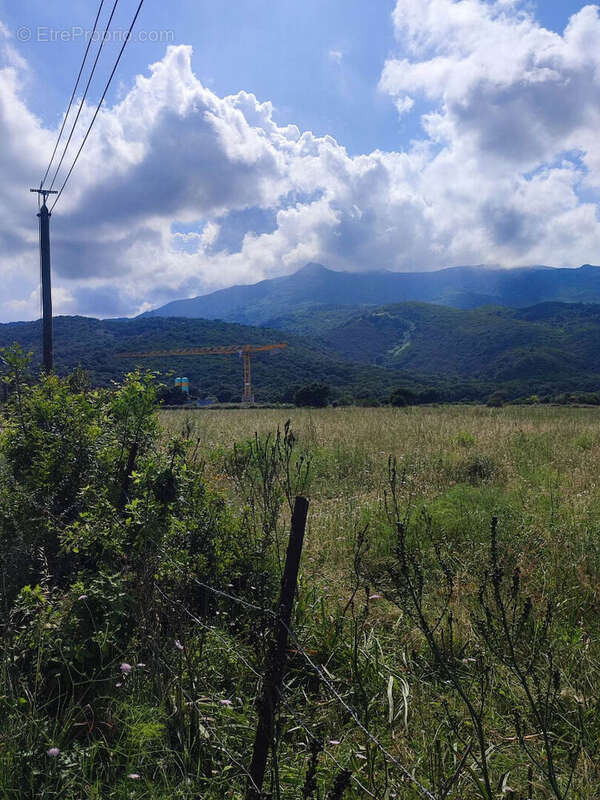 Terrain à BORGO