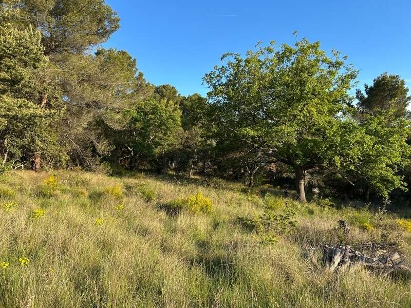 Terrain à BAUDINARD-SUR-VERDON