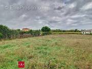Terrain à BUZET-SUR-TARN
