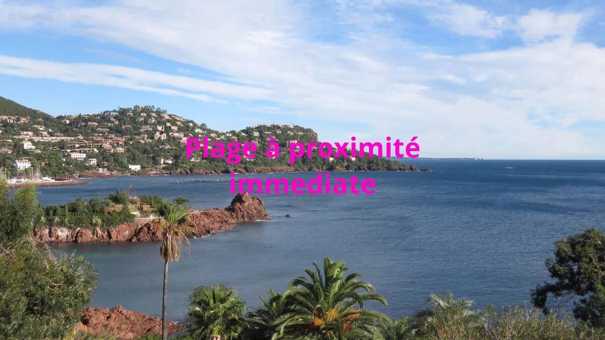 Commerce à SAINT-RAPHAEL