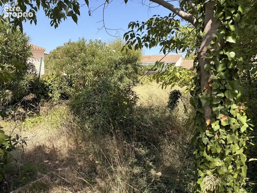 AGDE-  maison composée de deux appartements énorme potentiel terrain 579 m² - photo 12