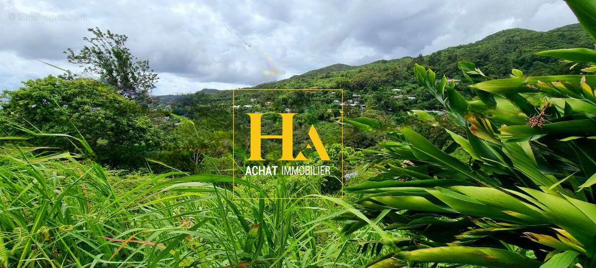 Terrain à SAINT-DENIS